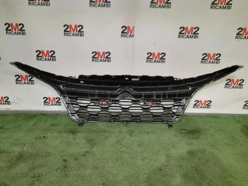 Griglia Radiatore 1613256780 Citroen Jumper III 2014