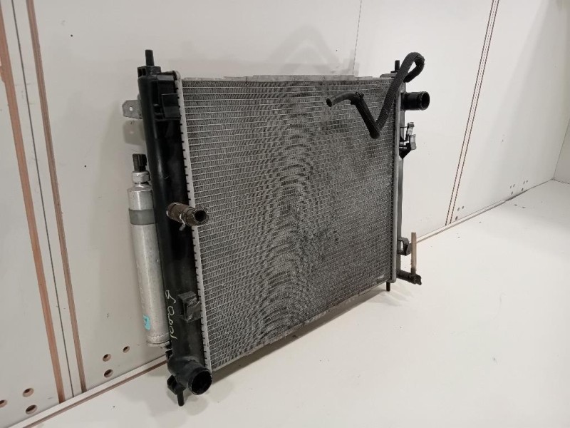 Radiatore Acqua 21410BA60A 110822 Nissan JUKE I 2010