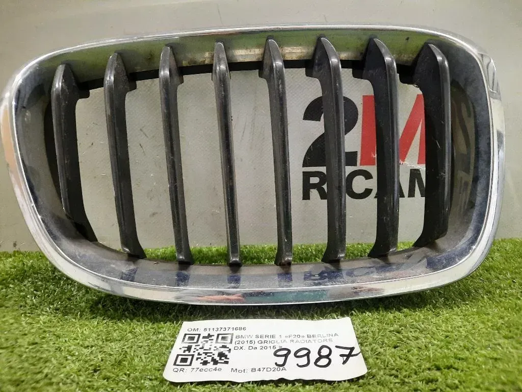 Griglia Radiatore DX 51137371686 Bmw Serie 1 F20 Berlina 2015