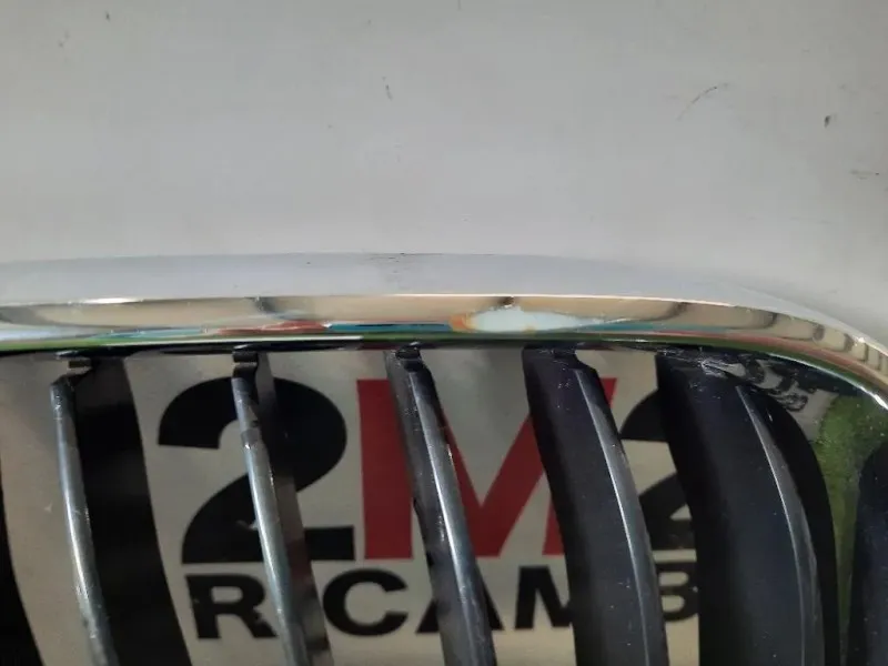 Griglia Radiatore DX 51137295522 Bmw Serie 2 F22 Coupe 2014