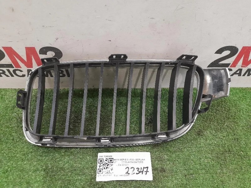 Griglia Radiatore DX 7295436 Bmw Serie 3 F30 Berlina 2012