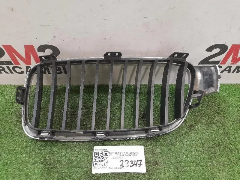 Griglia Radiatore DX 7295436 Bmw Serie 3 F30 Berlina 2012