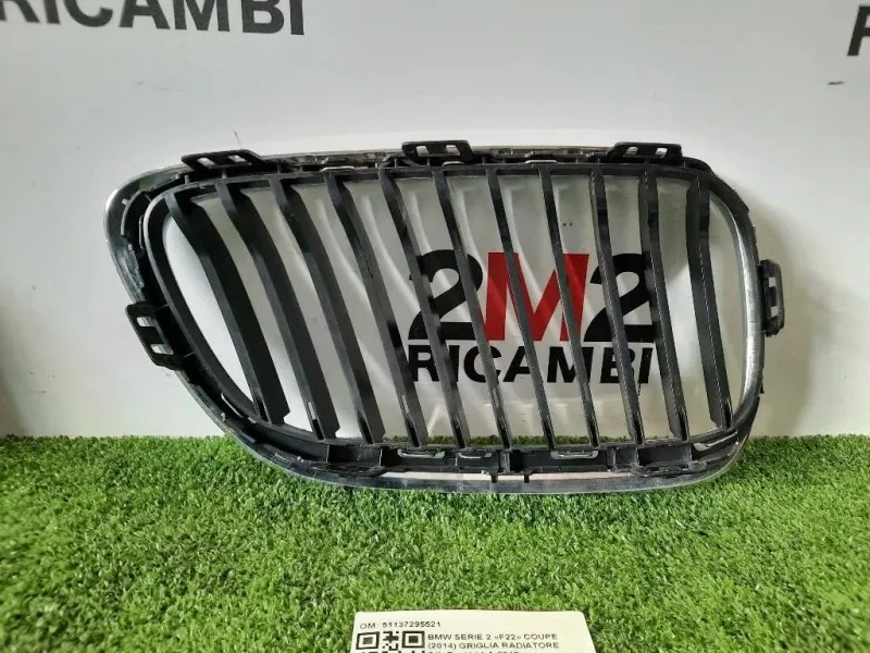 Griglia Radiatore SX 51137295521 Bmw Serie 2 F22 Coupe 2014