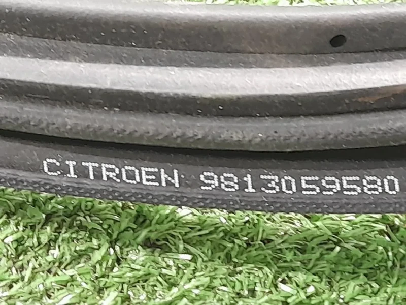 Guarnizione ANT Porta ANT DX 9813059580 DX Citroen C3 III 2016