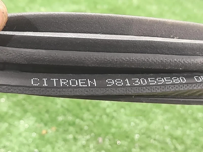 Guarnizione ANT Porta ANT SX 9813059580 SX Citroen C3 III 2016