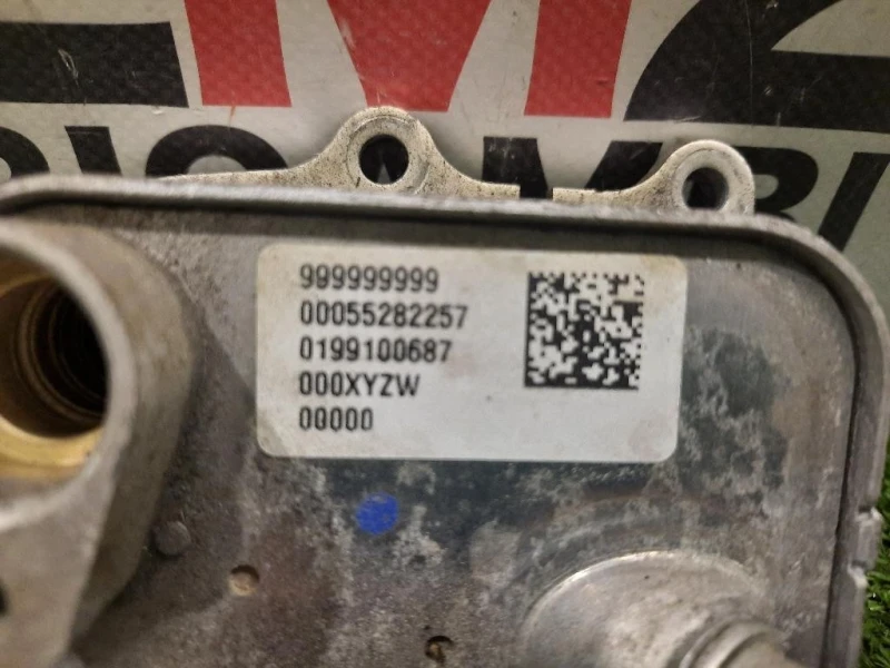 Radiatore OLIO 55282257 Jeep Renegade 2018