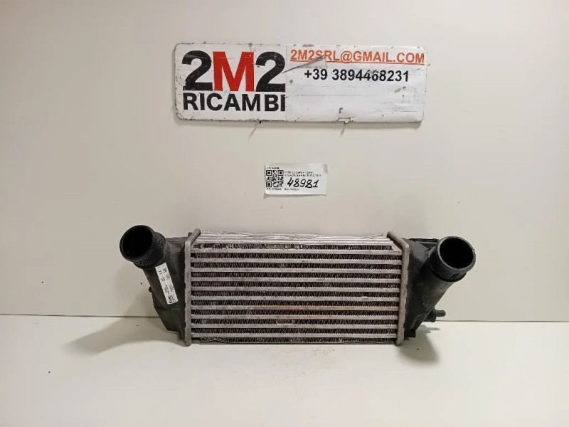 Intercooler 2163154 Ford Ecosport 2017
