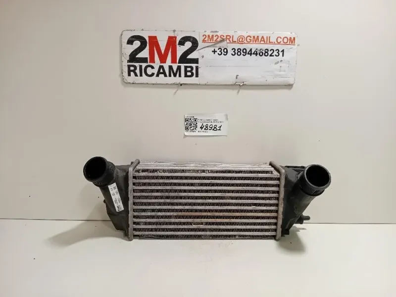 Intercooler 2163154 Ford Ecosport 2017