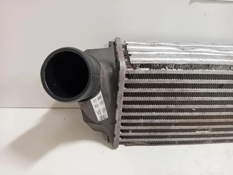 Intercooler 2163154 Ford Ecosport 2017