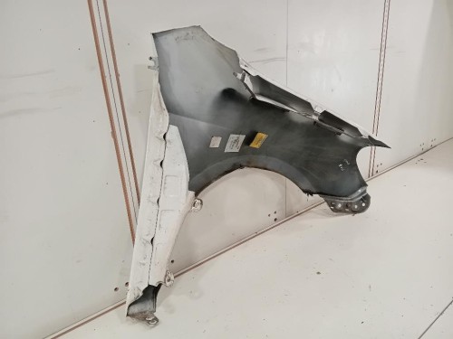Parafango ANT SX