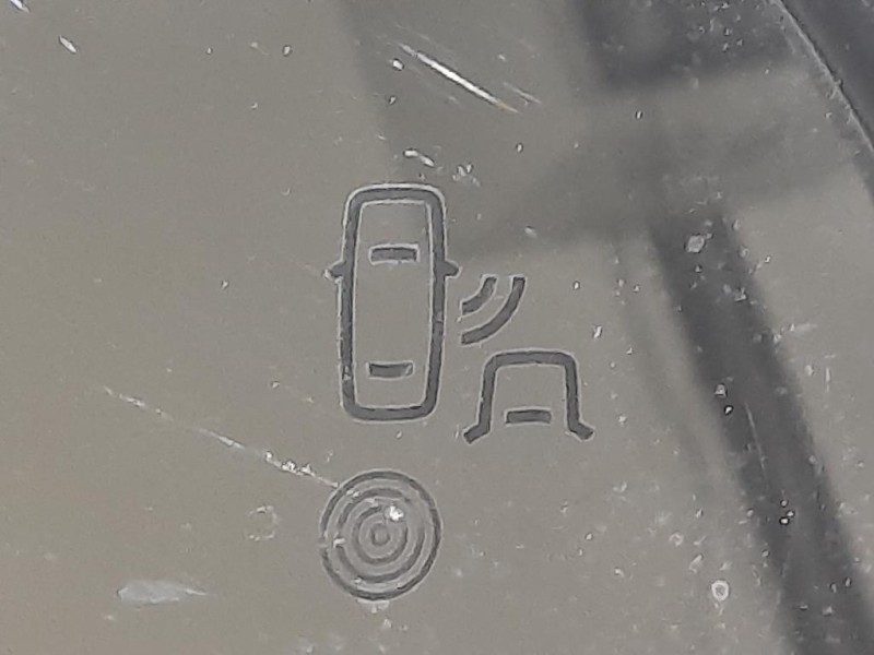 Retrovisore Esterno ANT DX RETROVISORE TELECAMERA963019867R Dacia Duster II 2018