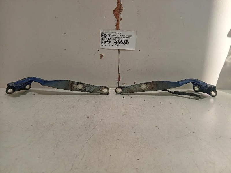 KIT Cerniere Capote KIT CERNIERE CAPOTE Daihatsu Terios II 2006