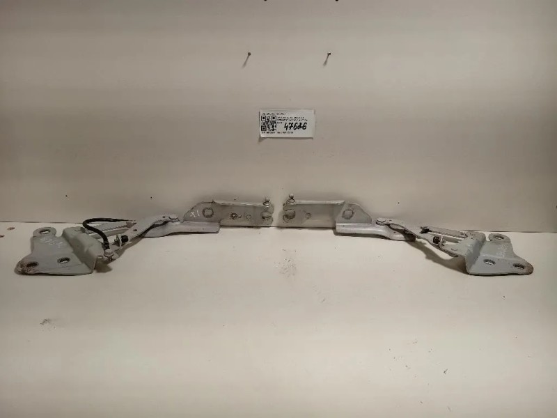 KIT Cerniere Cofano ANT 2990359 2990360 Bmw X1 E84 2010