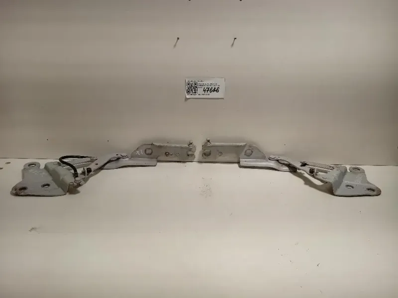 KIT Cerniere Cofano ANT 2990359 2990360 Bmw X1 E84 2010