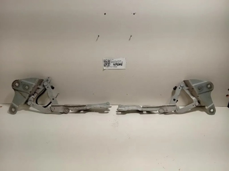 KIT Cerniere Cofano ANT 2990359 2990360 Bmw X1 E84 2010