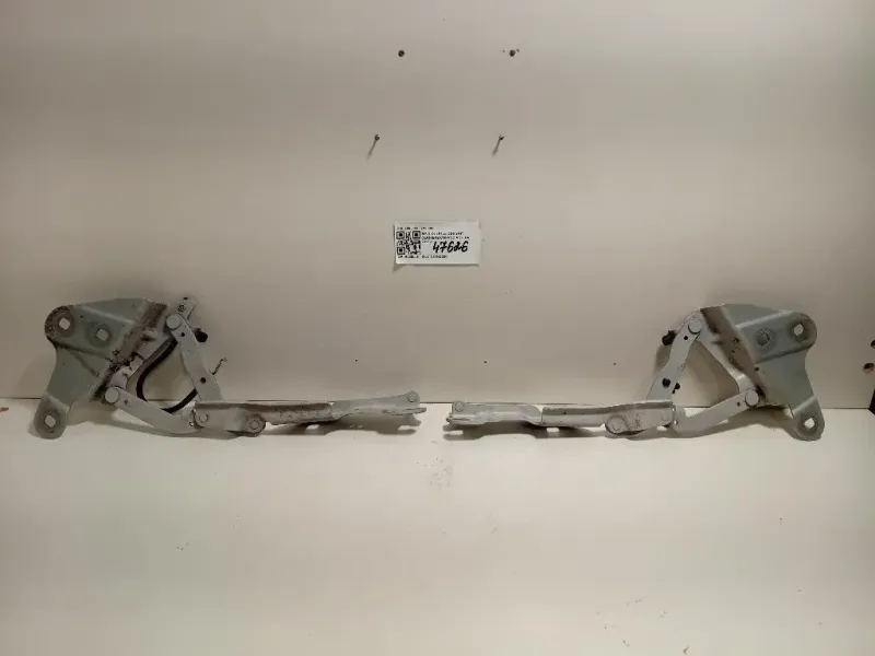 KIT Cerniere Cofano ANT 2990359 2990360 Bmw X1 E84 2010