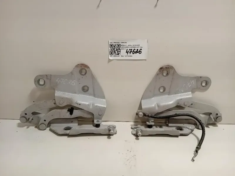 KIT Cerniere Cofano ANT 2990359 2990360 Bmw X1 E84 2010