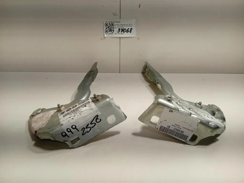 KIT Cerniere Cofano ANT 5183553751835536 Lancia Ypsilon III 2011