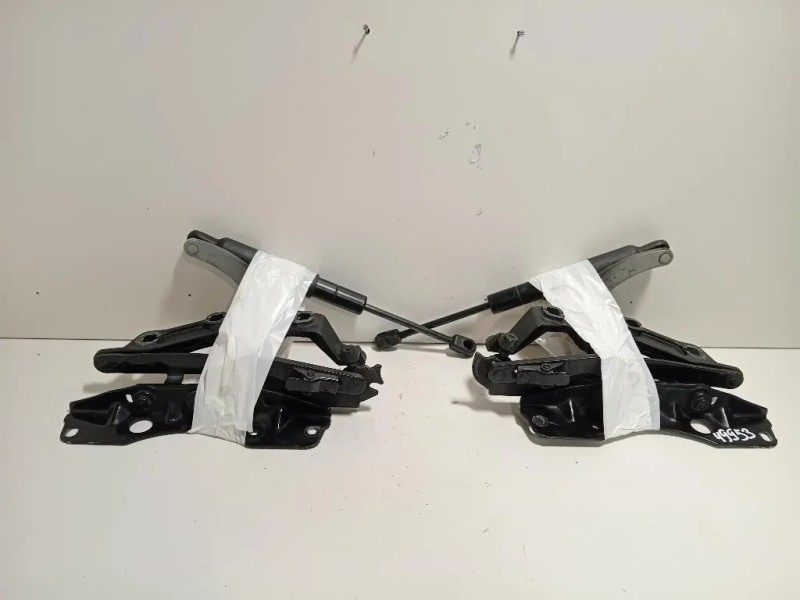 KIT Cerniere Cofano ANT A2218800328A2218800428 Mercedes Classe S W221 2006