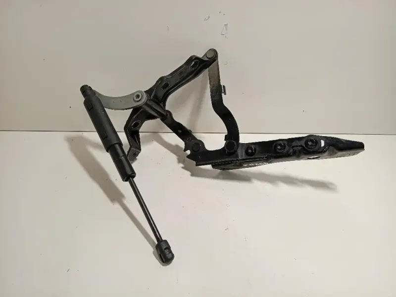 KIT Cerniere Cofano ANT A2218800328A2218800428 Mercedes Classe S W221 2006