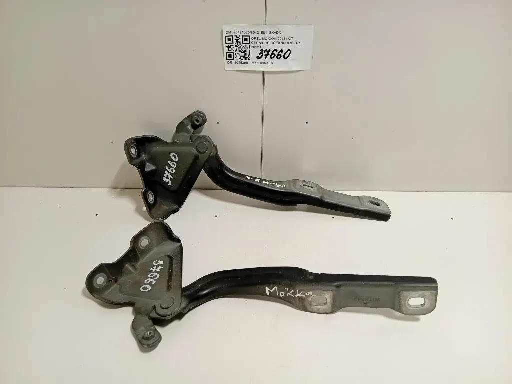 KIT Cerniere Cofano ANT 9542158095421581 SX+DX Opel Mokka 2013