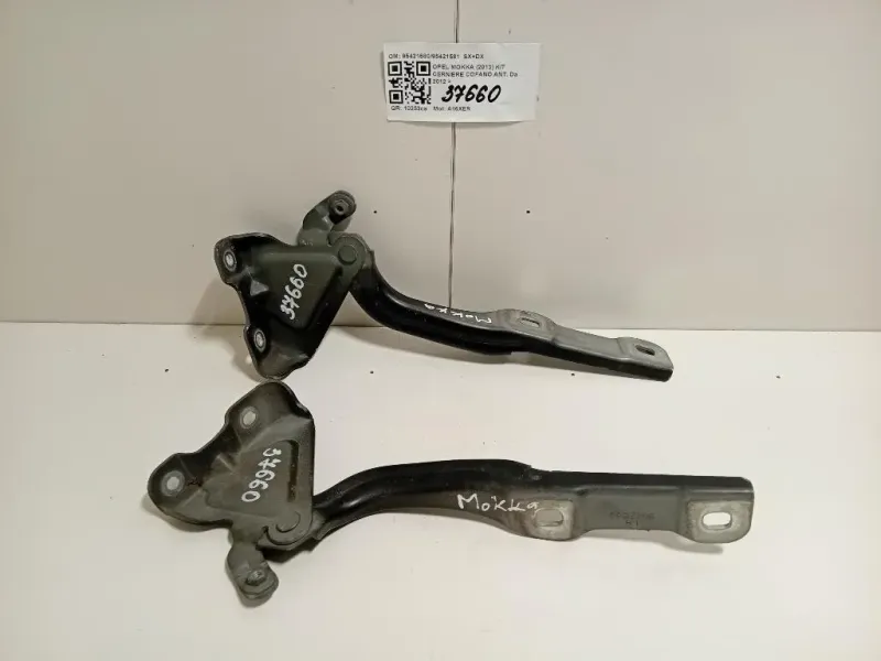 KIT Cerniere Cofano ANT 9542158095421581 SX+DX Opel Mokka 2013