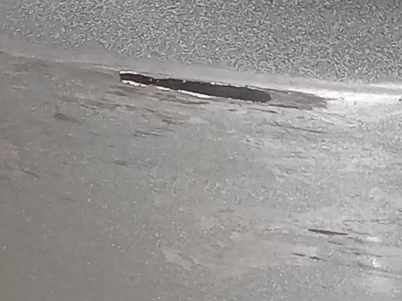 Paraurti ANT K68034169AB Dodge Journey 2009