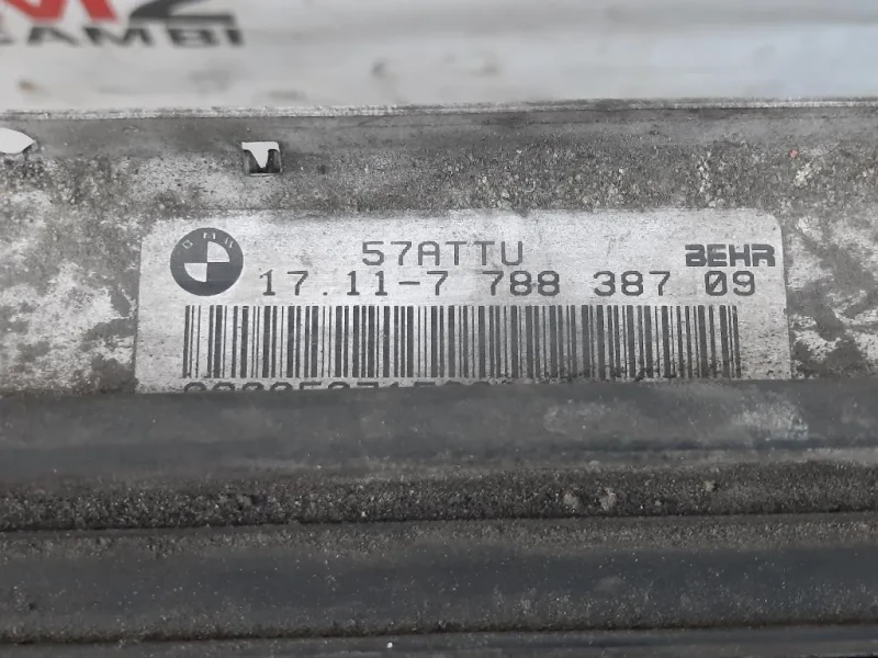 KIT Radiatori 1711-7 788 387-09 Bmw X5 E53 2000