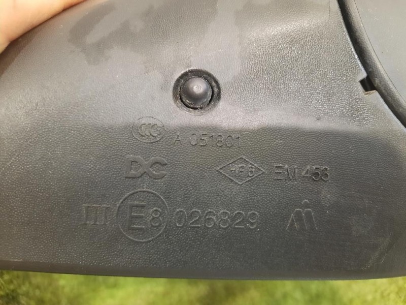 Retrovisore Esterno ANT DX 026829 Smart Forfour 453 2015