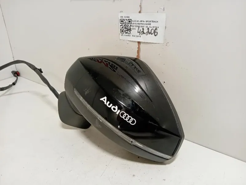 Retrovisore Esterno ANT SX 021262 Audi A3 8PA Sportback 2010
