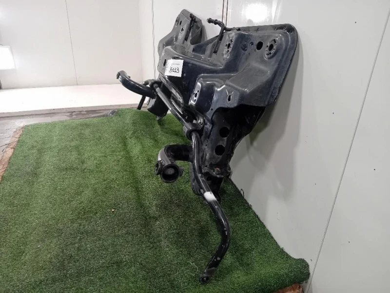 Assale ANT ASSALE ANT Mg ZS II 2020