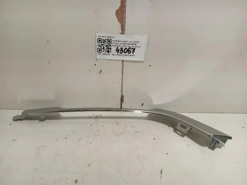 Listello Decorazione Paraurti ANT DX 98118266VD Citroen Jumpy IV 2016
