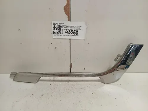 Listello Decorazione Paraurti ANT SX 98118266VD Citroen Jumpy IV 2016