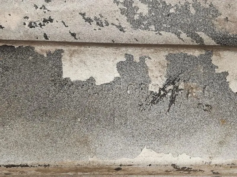 Listello Spoiler Sottoporta SX GX23-F10609 Jaguar XF I 2011