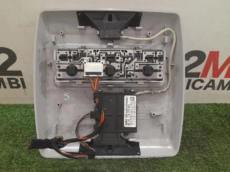 LUCE DI Cortesia Abitacolo ANT 63316962046 65758379941 Bmw X5 E53 2000