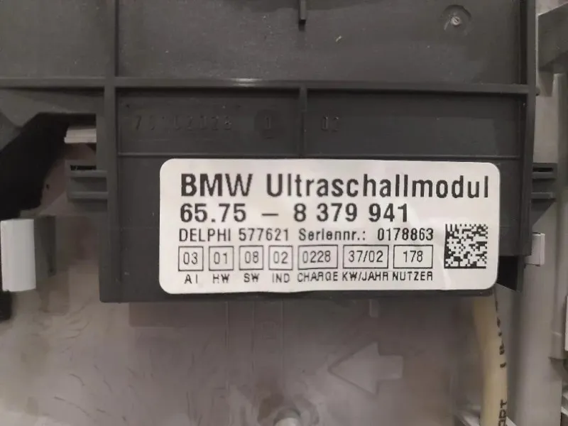 LUCE DI Cortesia Abitacolo ANT 63316962046 65758379941 Bmw X5 E53 2000