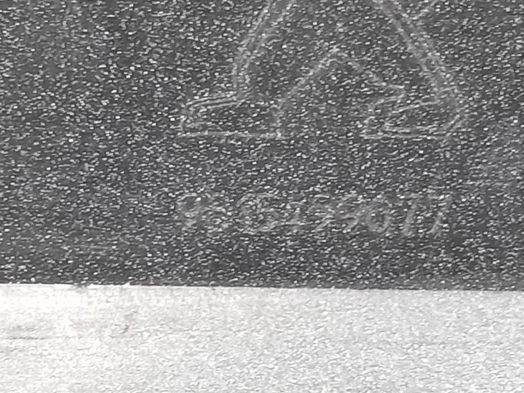 Paraurti ANT 9815499077 Peugeot 3008 II 2016