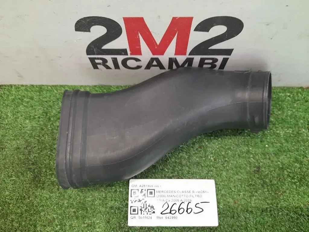 Manicotto Filtro ARIA A2515051661 Mercedes Classe R W251 2006