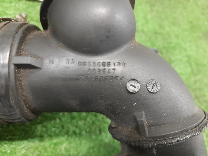 Manicotto Intercooler DX 9655059180 Volvo V50 2004