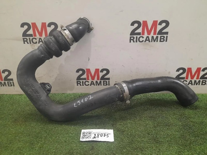 Manicotto Intercooler INF AB396C646 Ford Ranger IV 2015