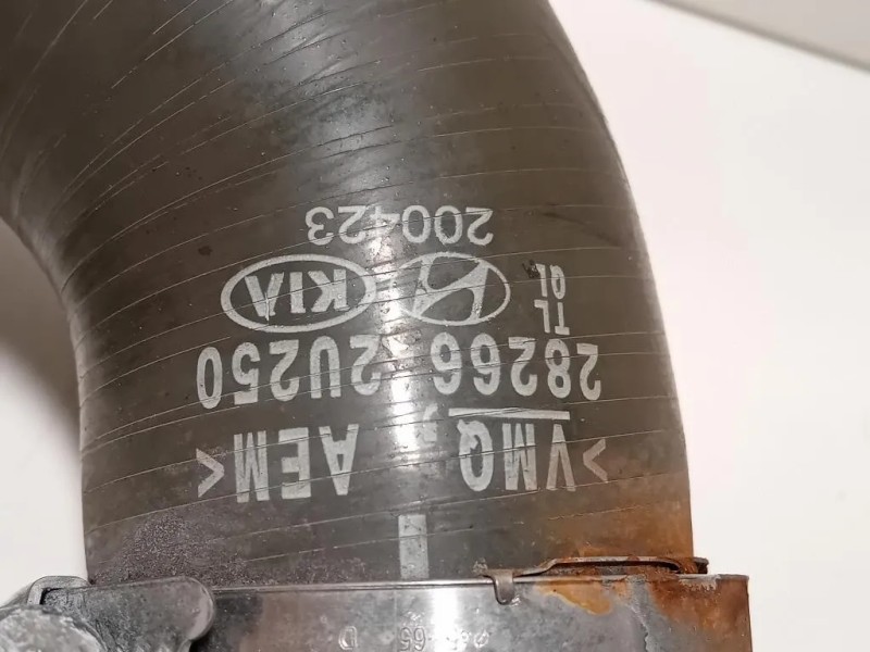 Manicotto Intercooler INF 28266-2U250 Kia Sportage IV 2018