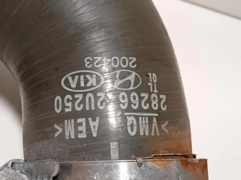 Manicotto Intercooler INF 28266-2U250 Kia Sportage IV 2018