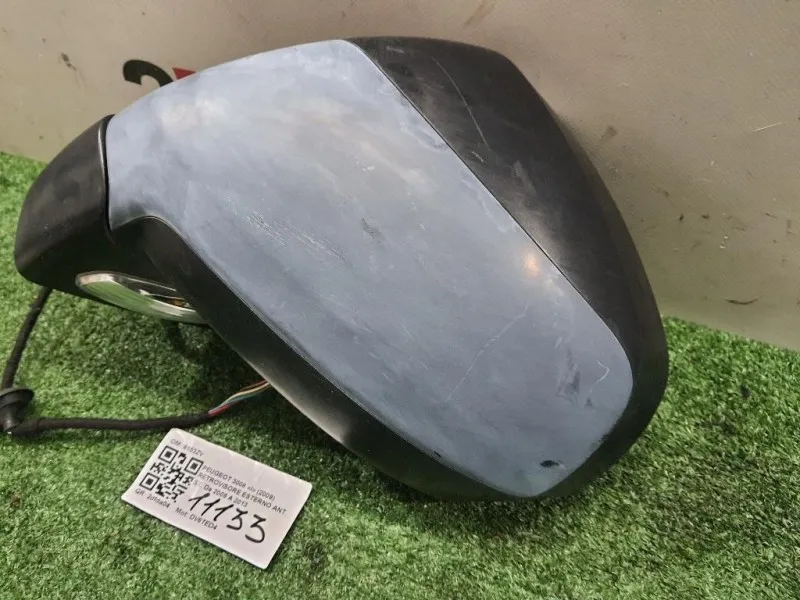 Retrovisore Esterno ANT SX 8153ZV Peugeot 3008 I 2009