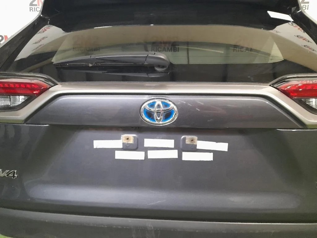 Maniglia Portello EST POST 7680142904 Toyota RAV 4 V 2018