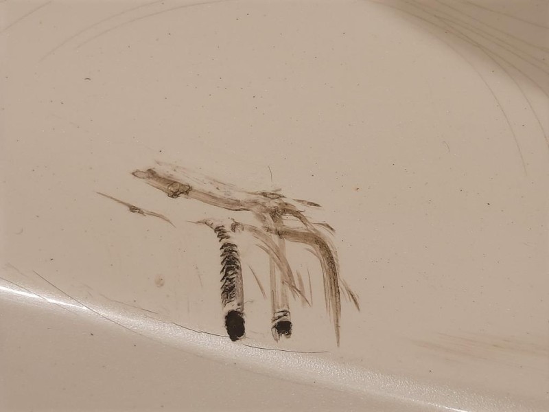 Ripiano Copertura VANO Bagagli BJ32-46668-AF Land Rover Range Rover Evoque I 2011