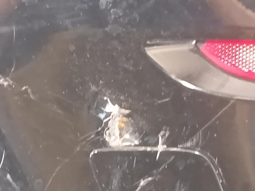 Ripiano Copertura VANO Bagagli 13278414 Opel Insignia A SW 2009