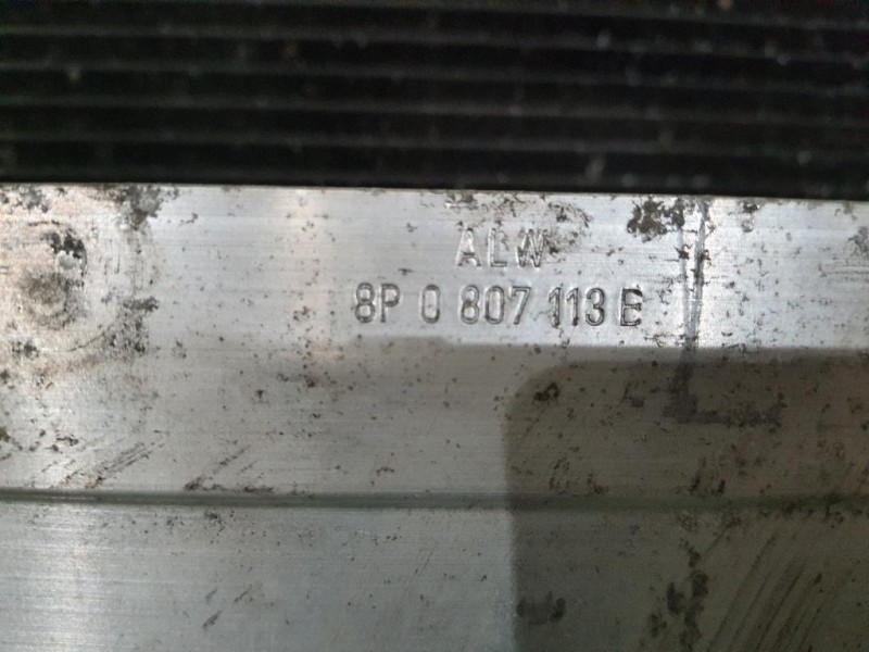 Rivestimento Frontale ANT Audi A3 8P1 2004