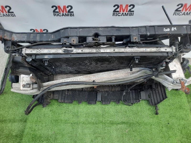 Rivestimento Frontale ANT 8K0805594L Audi A4 8K2 2008