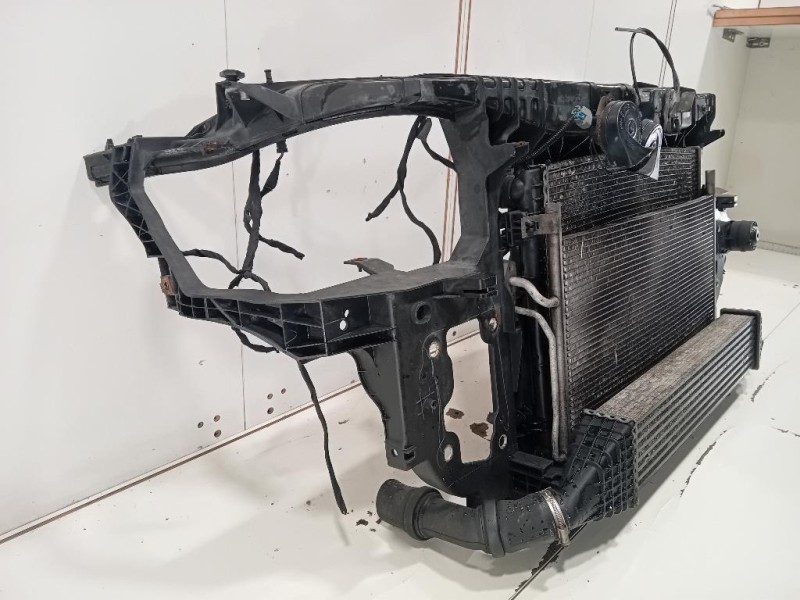 Rivestimento Frontale ANT RIVESTIMENTO FRONTALE ANT Dodge Journey 2009