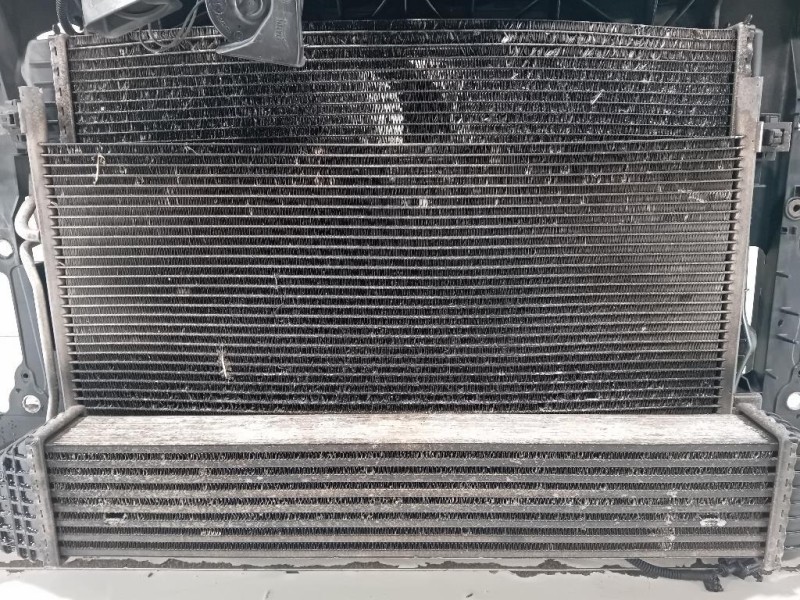 Rivestimento Frontale ANT RIVESTIMENTO FRONTALE ANT Dodge Journey 2009